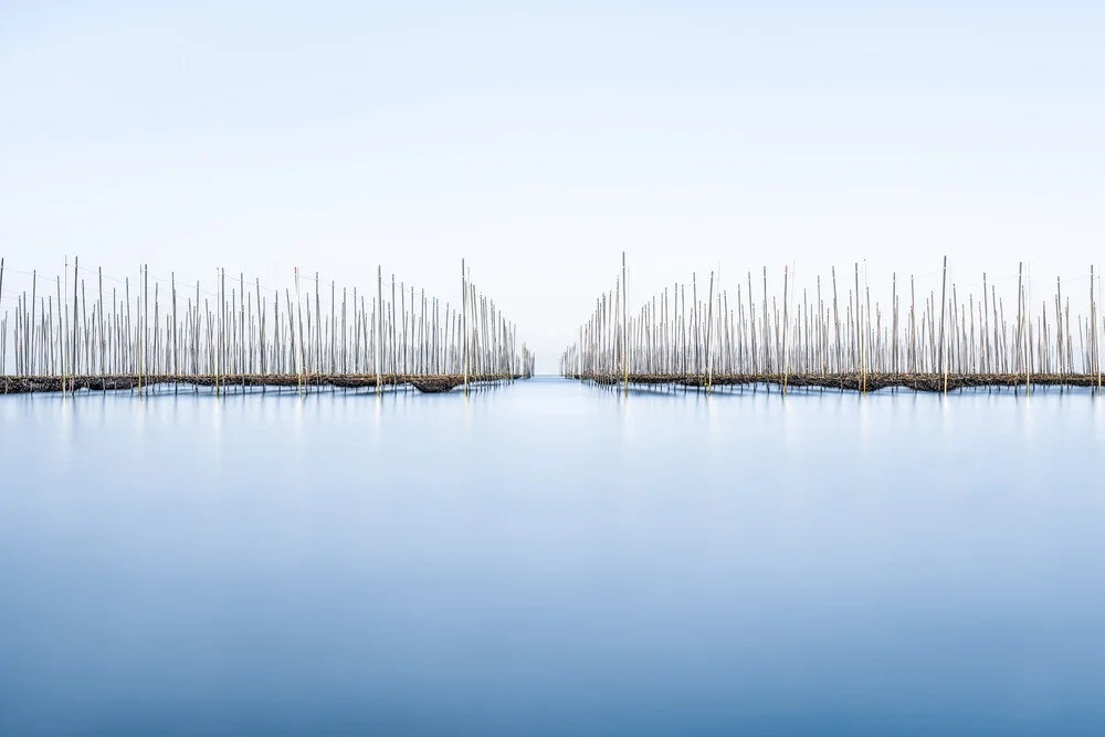 Seegras Farm in Japan - fotokunst von Jan Becke