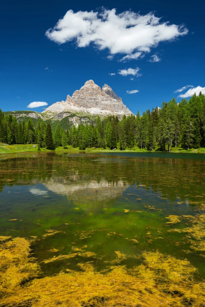 Sommer in den Alpen - fotokunst von Dave Derbis