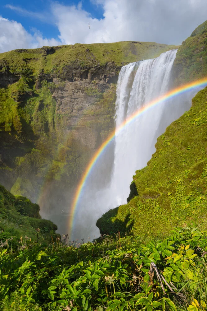 Paradise Falls - Fineart photography by Dave Derbis