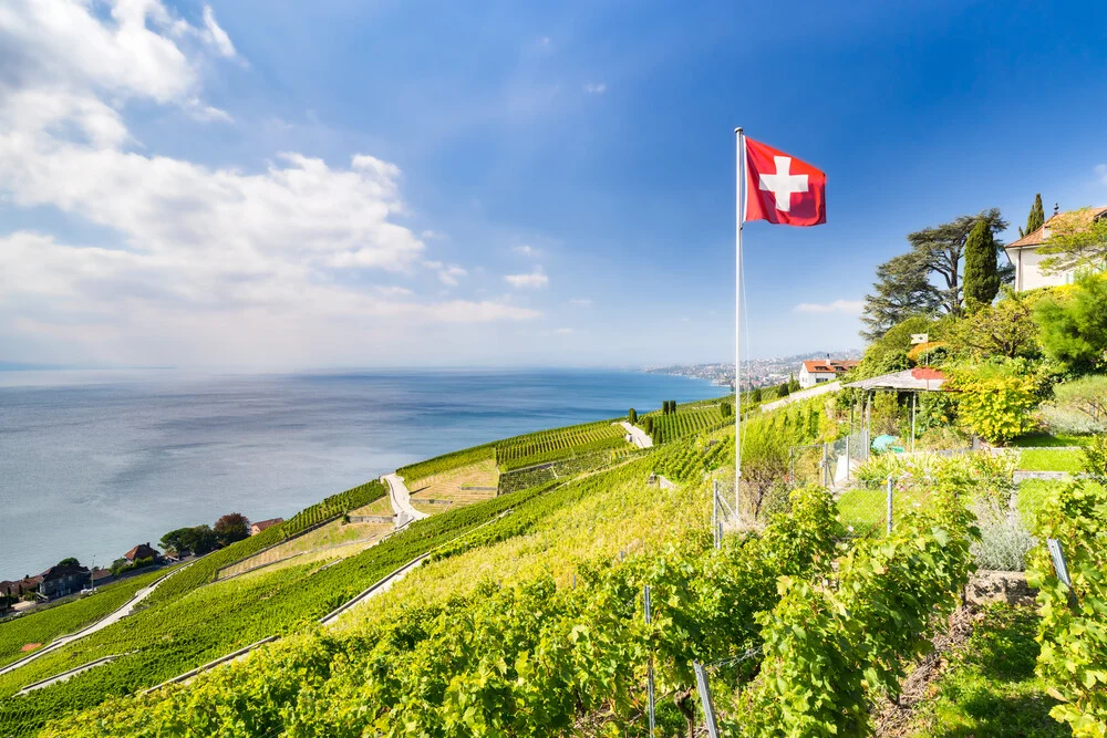 Wine terraces of Lavaux near the - Fineart photography by Jan Becke