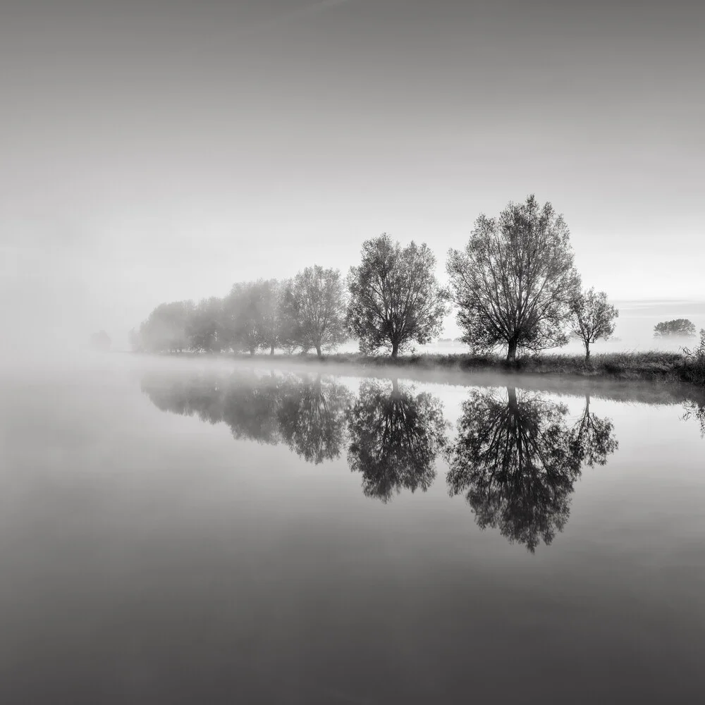 Herbstanfang - Bäume am See - fotokunst von Thomas Wegner