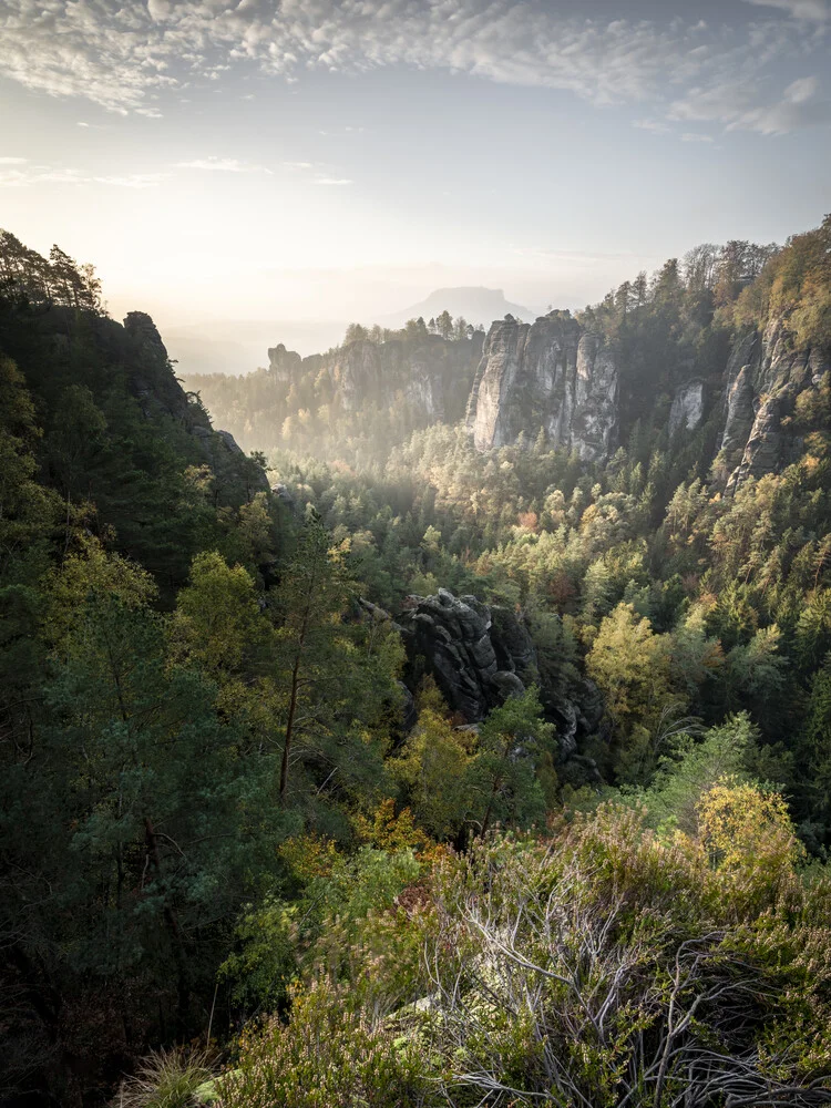 Basteiaussicht am Morgen Elbsandsteingebirge - Fineart photography by Ronny Behnert