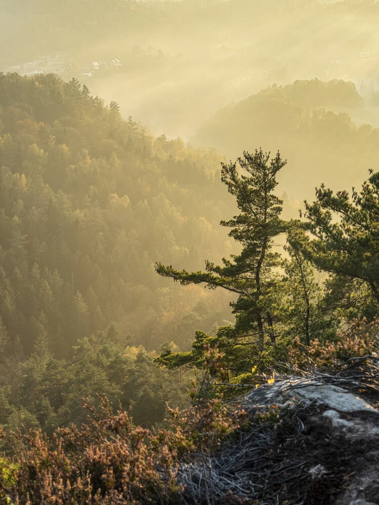 Basteiaussicht im Nebel II Elbsandsteingebirge - Fineart photography by Ronny Behnert