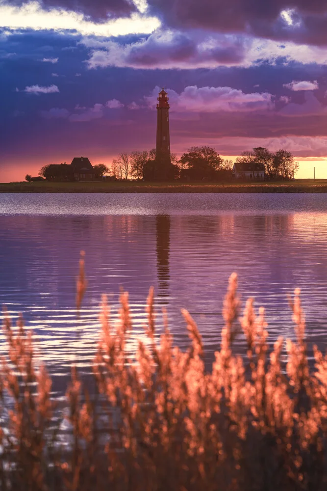 Flügge bei Sonnenuntergang - fotokunst von Jean Claude Castor