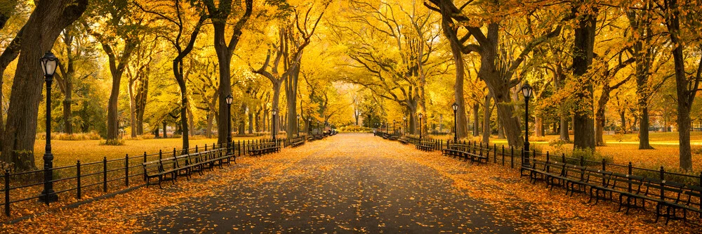 Central Park in New York - fotokunst von Jan Becke