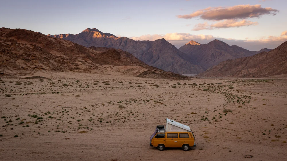 Bully in the Desert - fotokunst von Jens Brinkmann