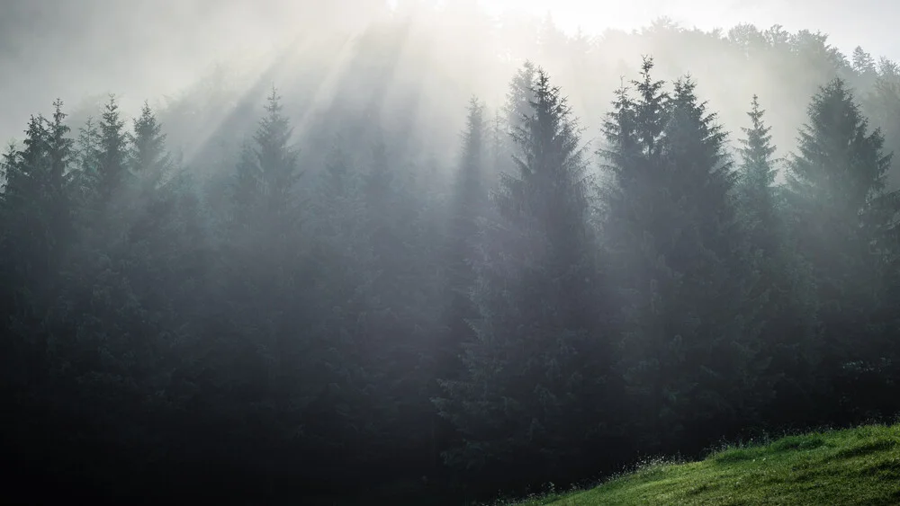 Nebelwald im Karwendel - fotokunst von Martin Wasilewski