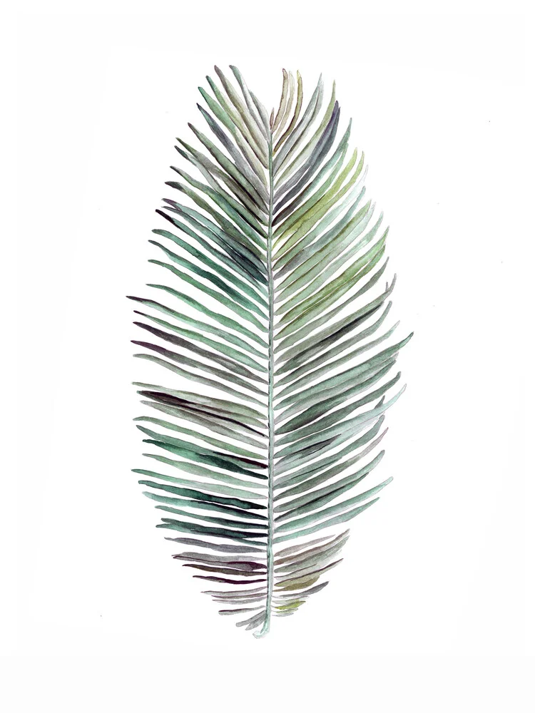 Mantika Botanical Coconut Leaf - Fineart photography by Christina Wolff