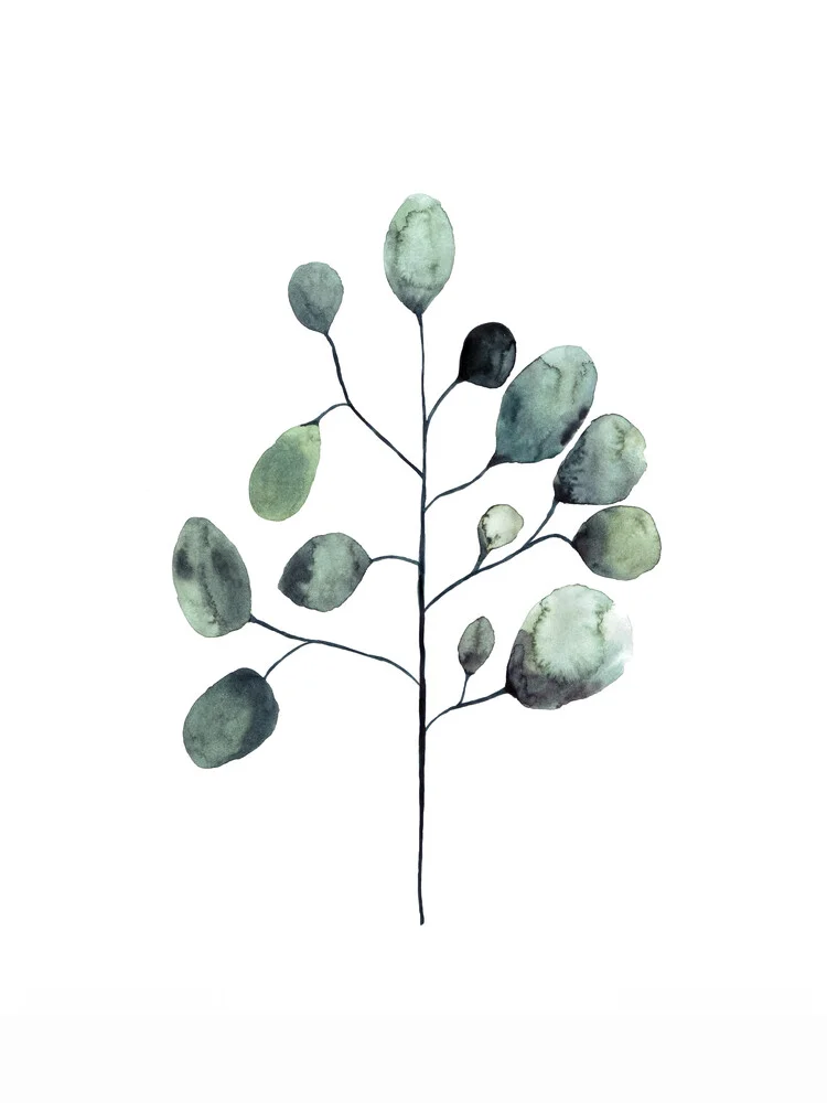 Mantika Botanical Eukalyptus - fotokunst von Christina Wolff