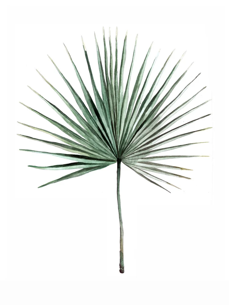 Mantika Botanical Palmwedel - fotokunst von Christina Wolff