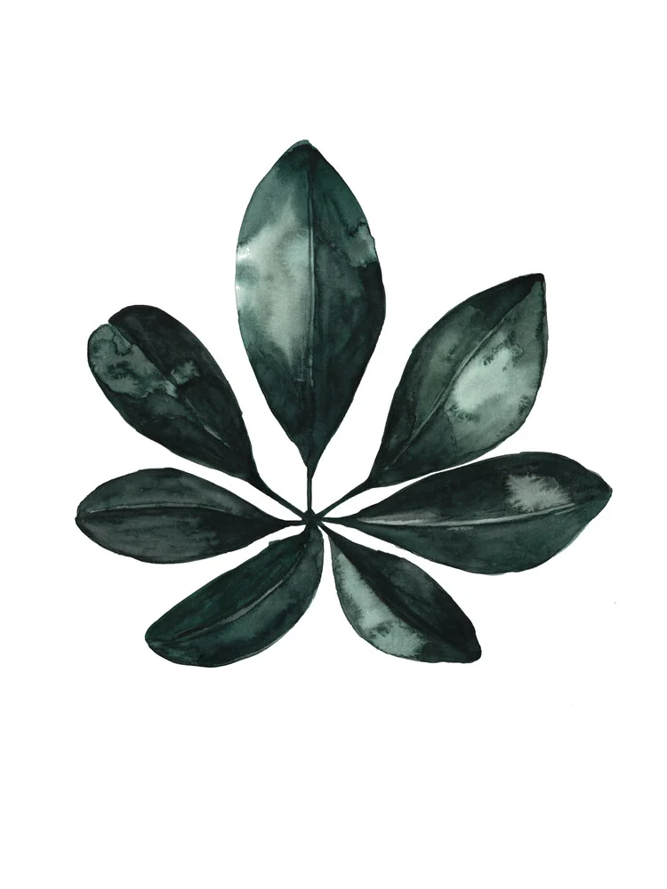 Mantika Botanical Schefflera Leaf - Fineart photography by Christina Wolff