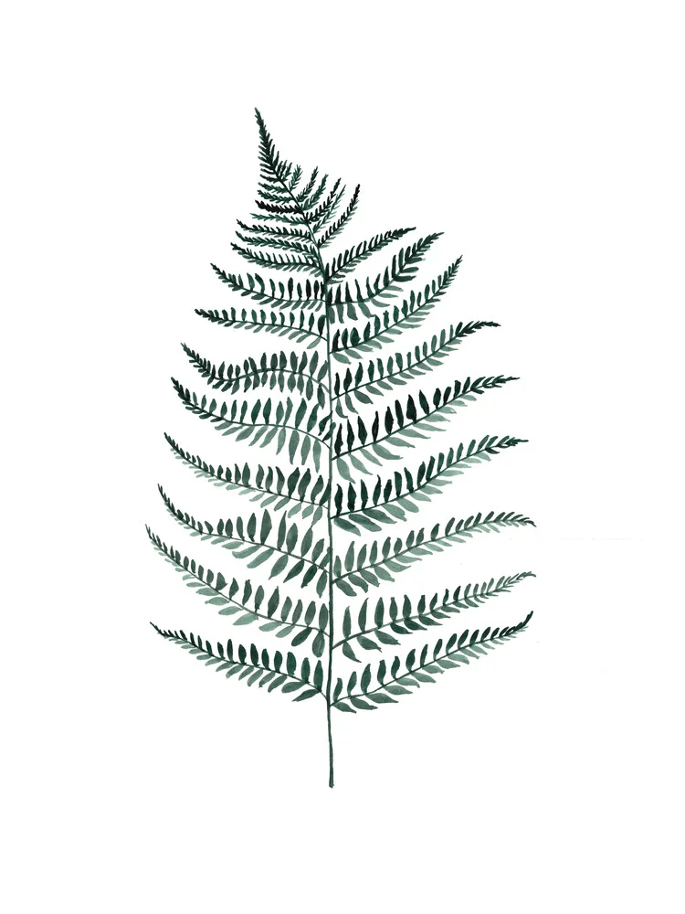 Mantika Botanical Silverfern - fotokunst von Christina Wolff