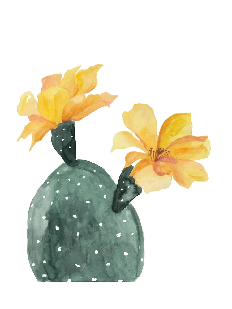 Mantika Botanical Kaktusblumen gelb - fotokunst von Christina Wolff