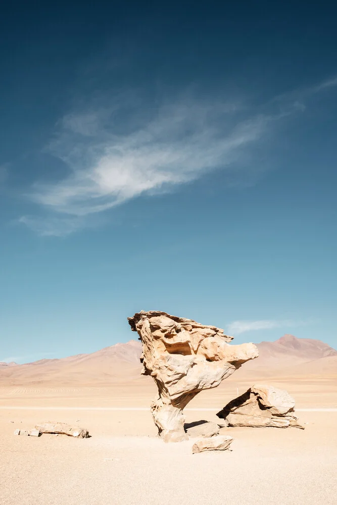 The Stone Tree - Fineart photography by Felix Dorn