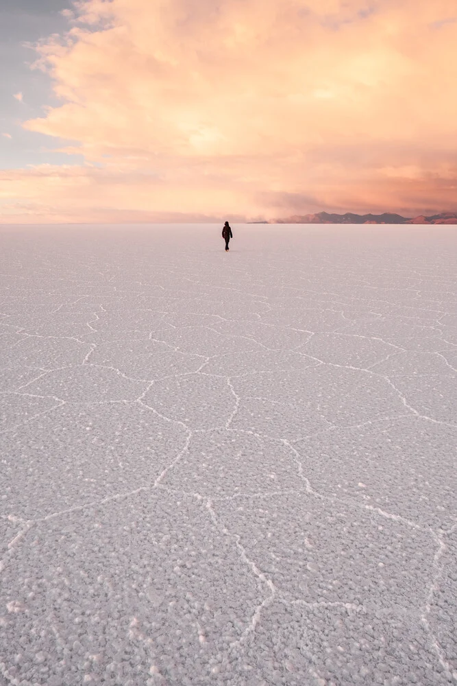 Salt Dream - fotokunst von Felix Dorn