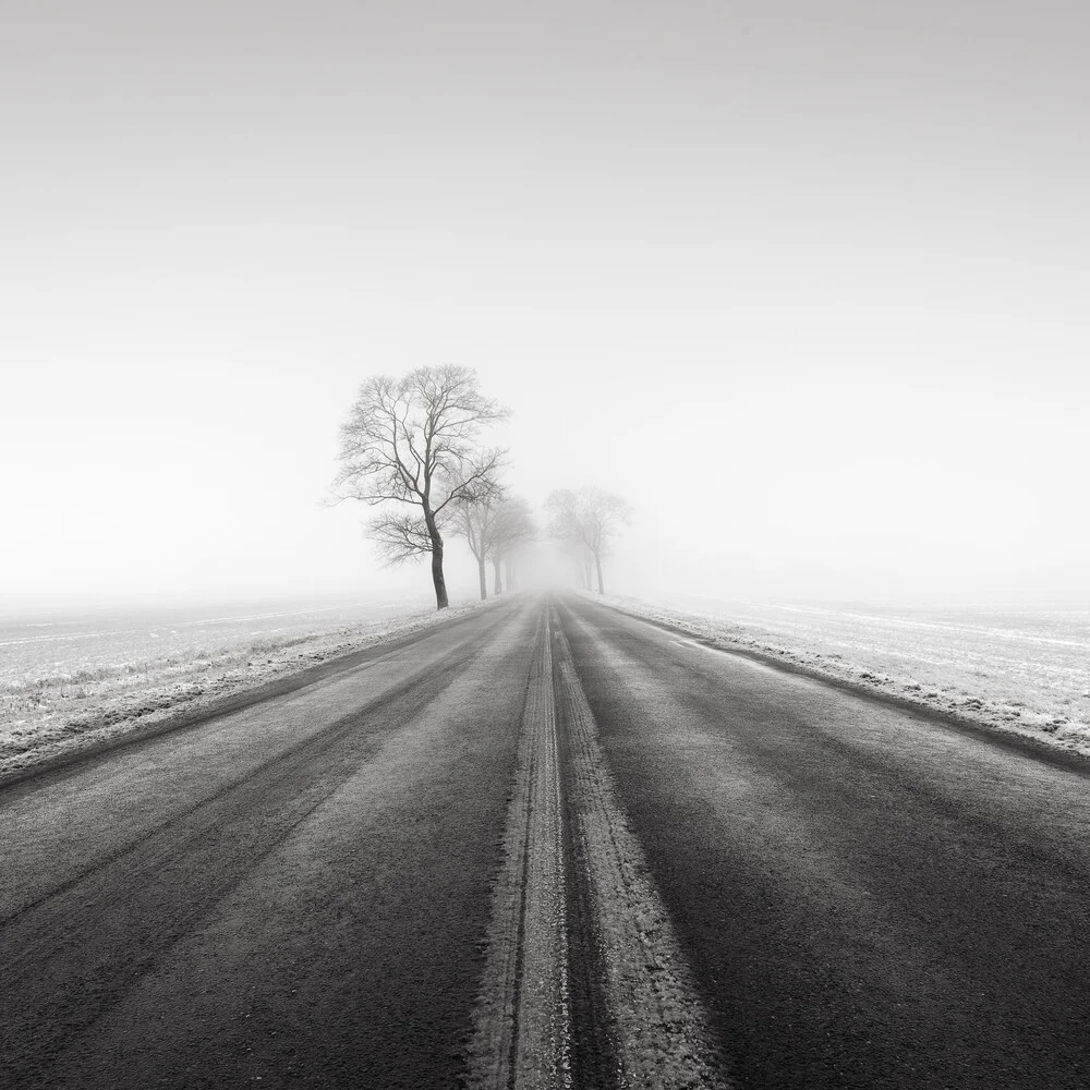 federal highway 5 / Brandenburg - Fineart photography by Thomas Wegner