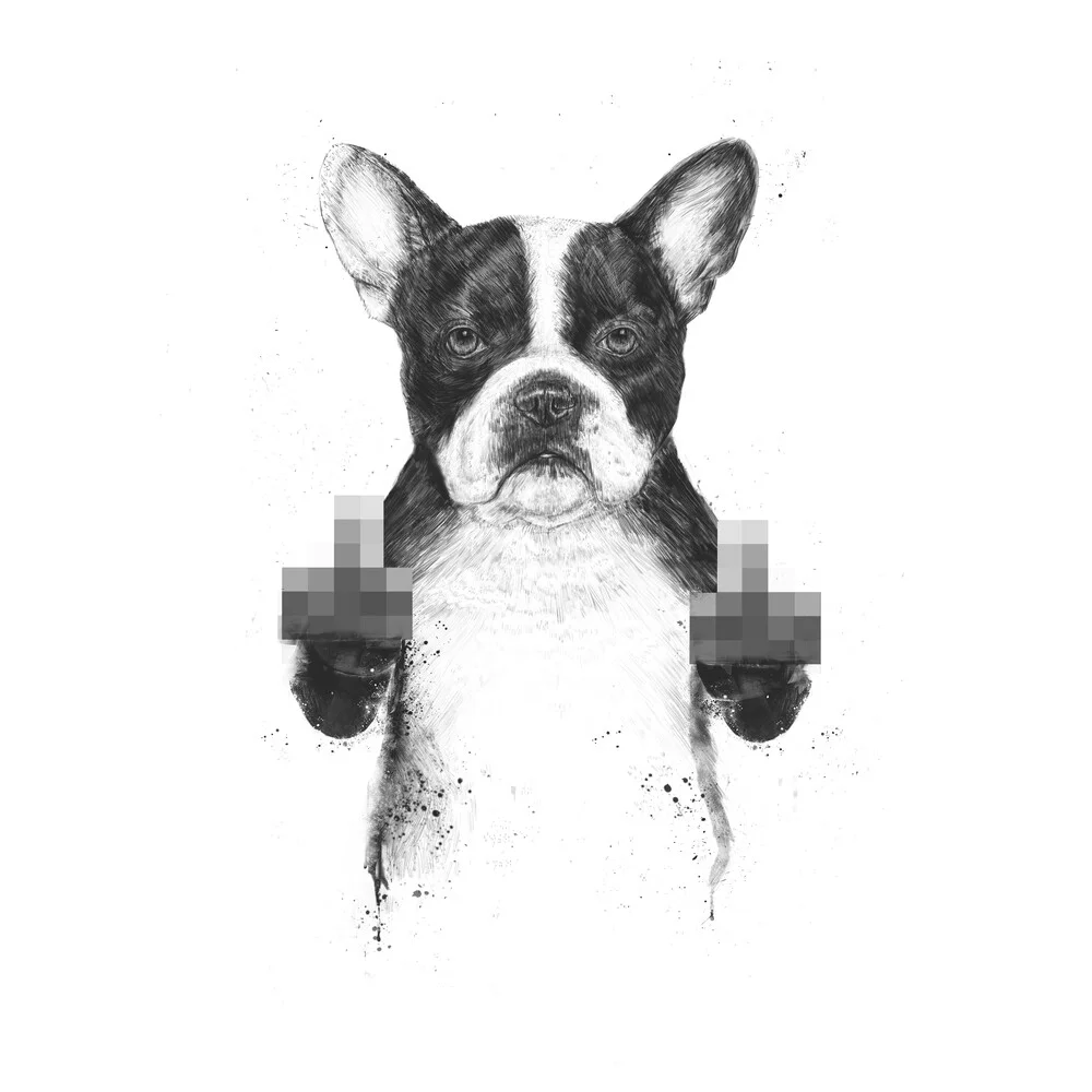 Censored dog - fotokunst von Balazs Solti