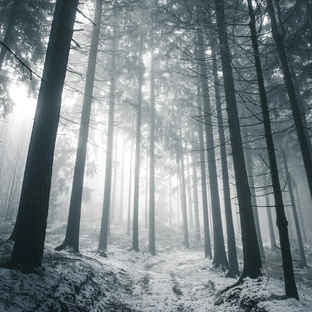 Licht im Dunkel - fotokunst von Sonja Lautner