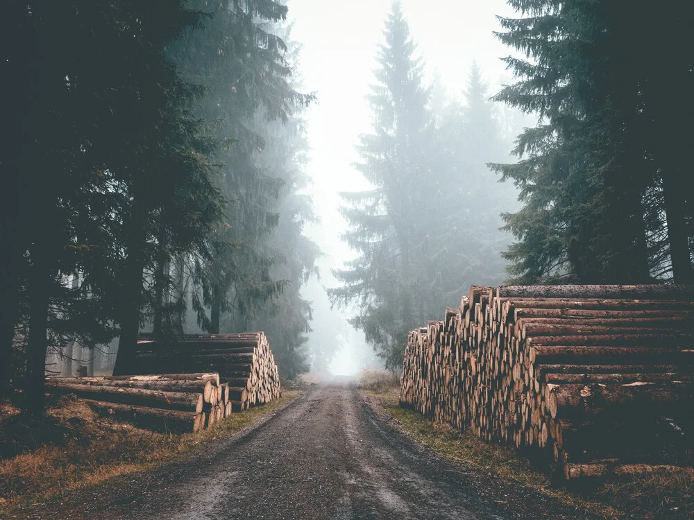 Waldweg - fotokunst von Sonja Lautner