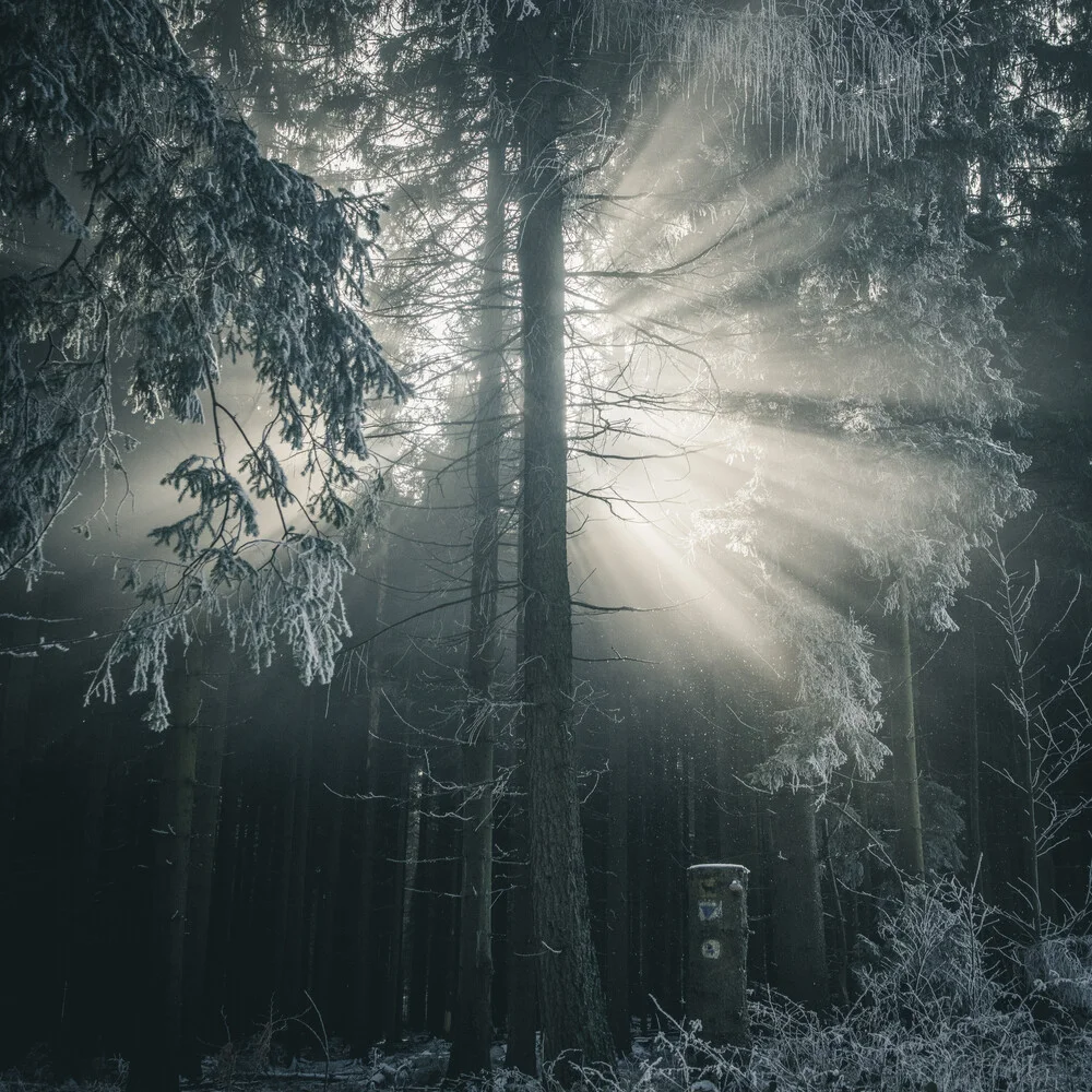 Sonnenstrahlen - fotokunst von Sonja Lautner