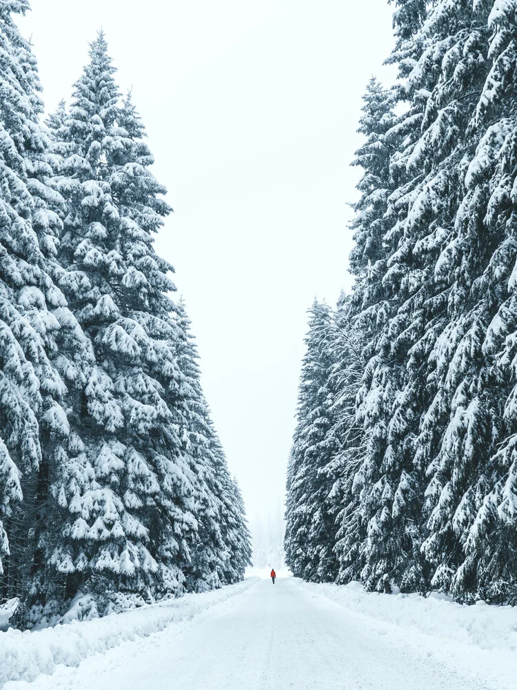 Person steht in verschneitem Wald - fotokunst von Lukas Saalfrank