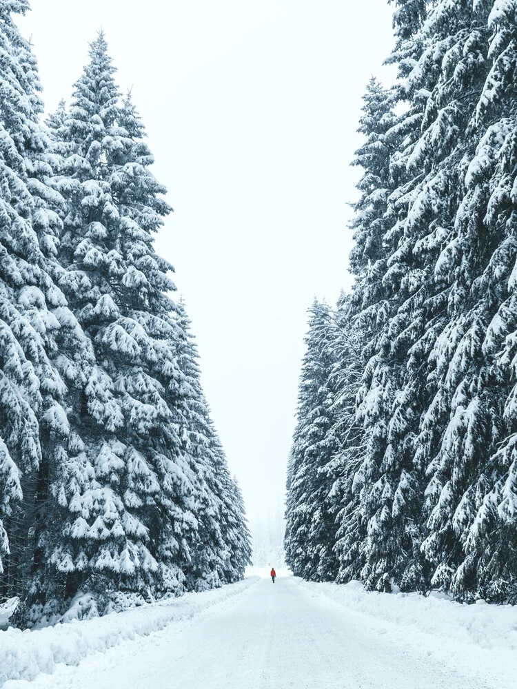 Person standing in frozen forrest - Fineart photography by Lukas Saalfrank