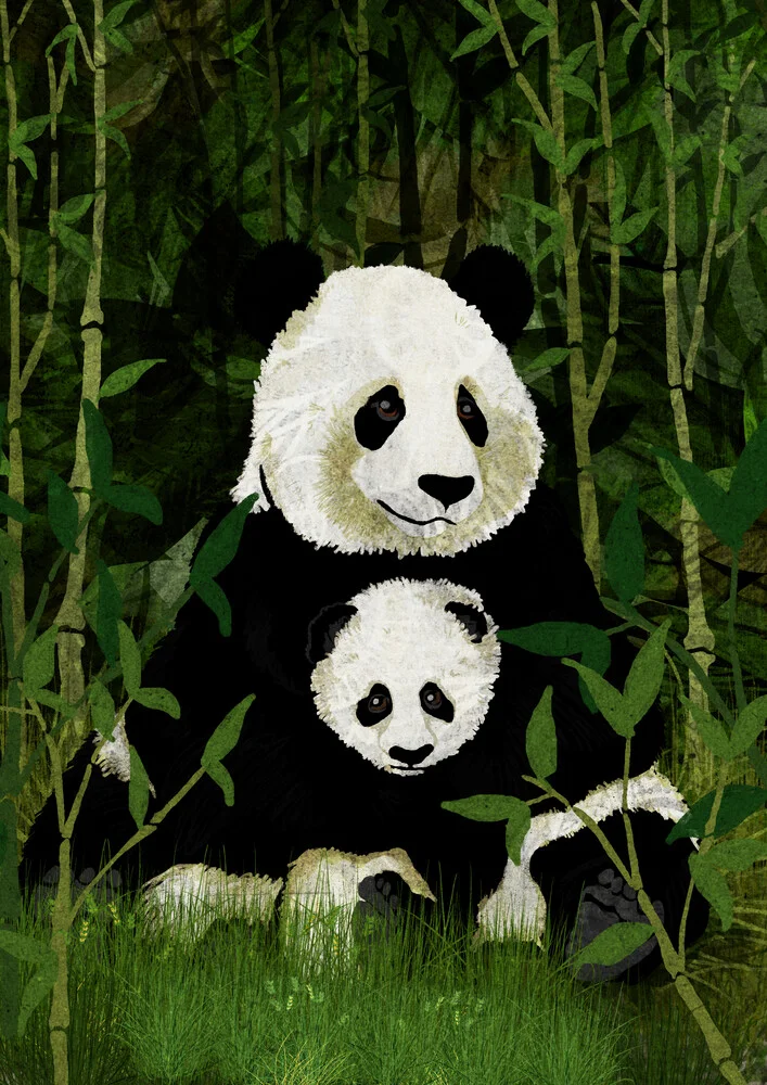 Panda Bear - fotokunst von Katherine Blower