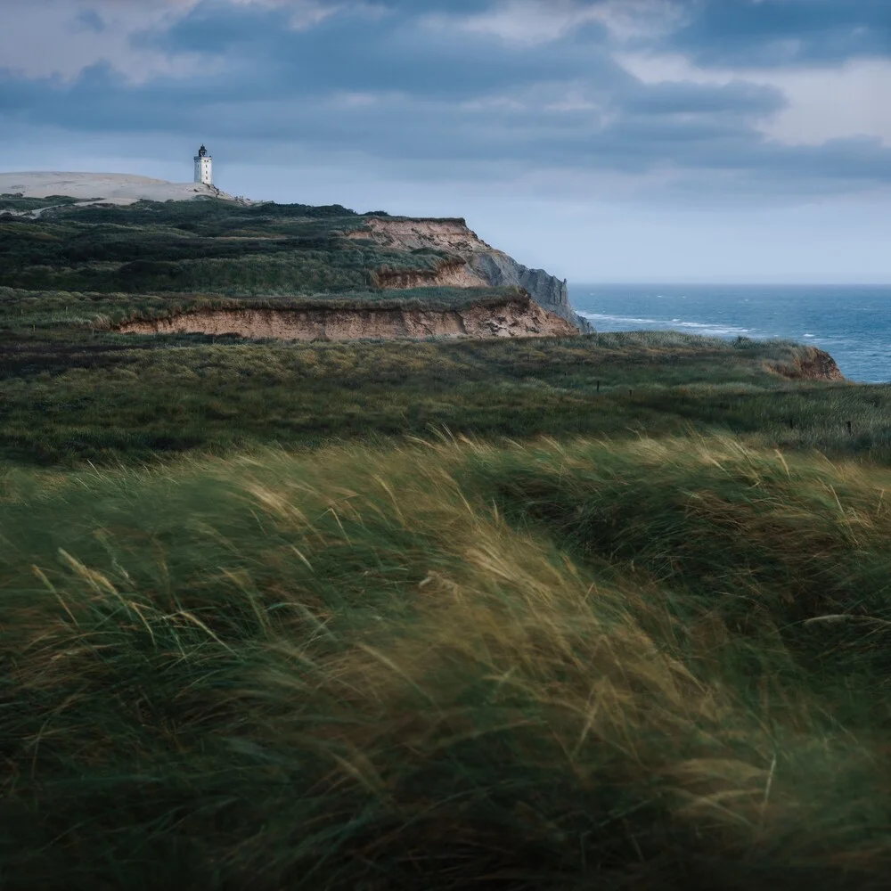 Blown by the Wind - Fineart photography by Alex Wesche