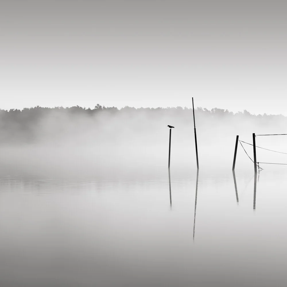 Hohennauener lake in the mist - Fineart photography by Thomas Wegner