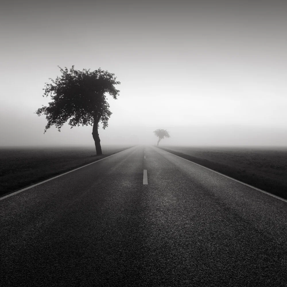 Road to nowhere 1 - Fineart photography by Thomas Wegner