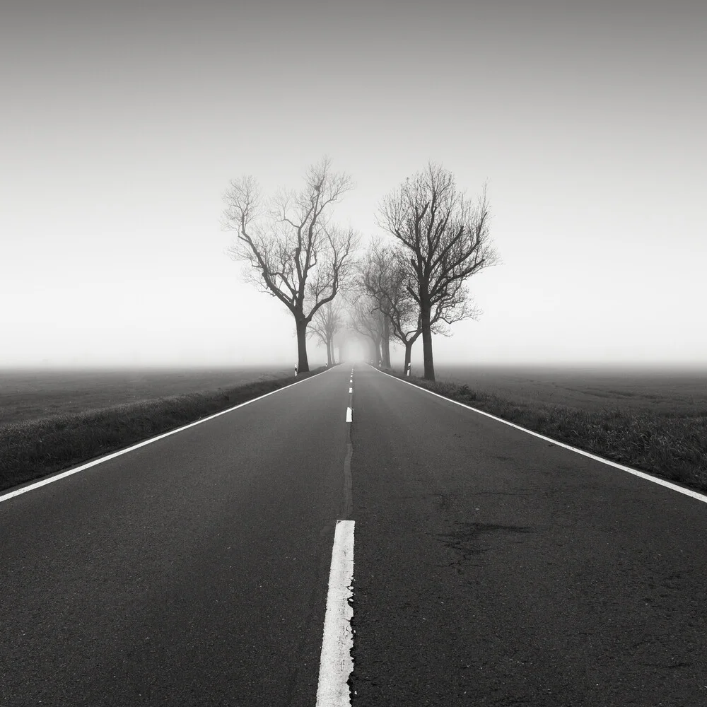 Road to nowhere 4 - Fineart photography by Thomas Wegner