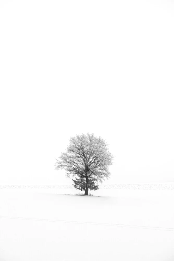 Isolation - fotokunst von Felix Baab