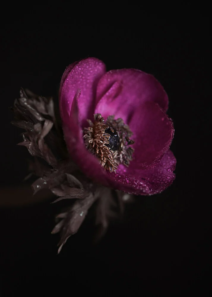 Details - Fineart photography by Anna Brano