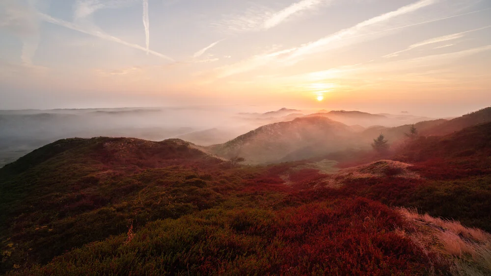 Mystical dune view - Fineart photography by Philipp Behncke