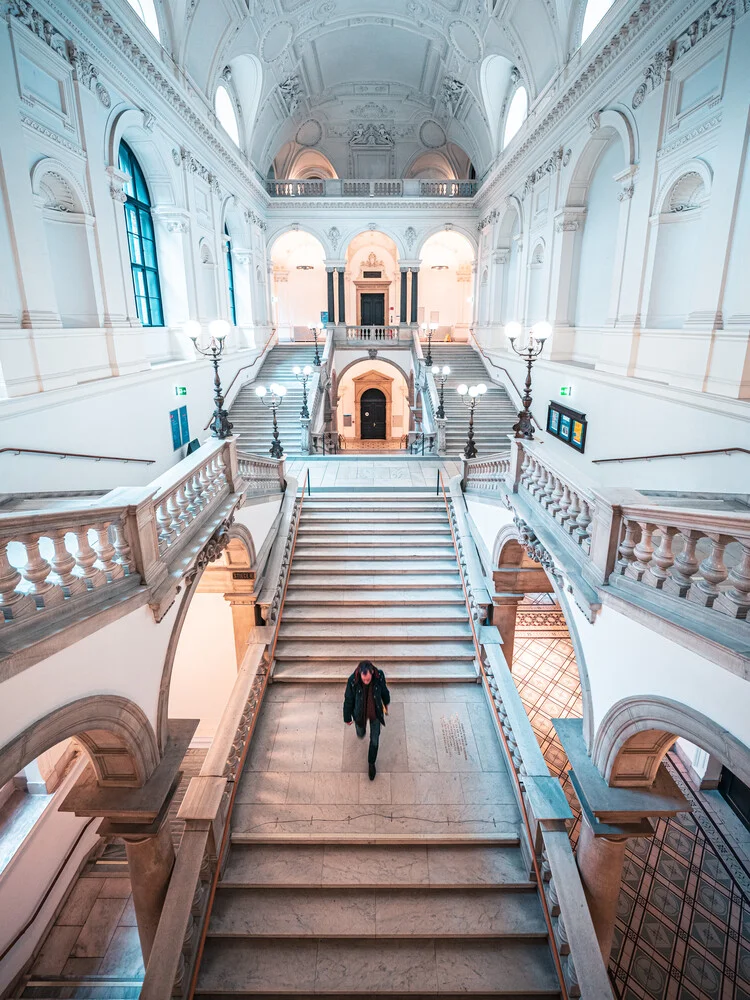 university - fotokunst von Dimitri Luft