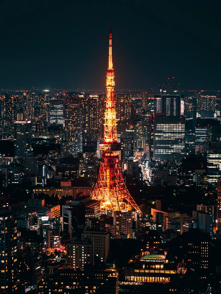 Tokyo tower - Fineart photography by Dimitri Luft