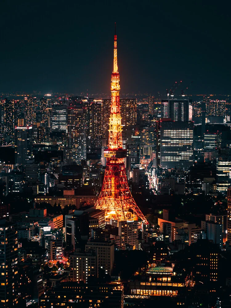 Tokyo tower - fotokunst von Dimitri Luft