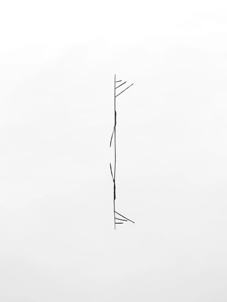 minimalist beauty - fotokunst von Holger Nimtz