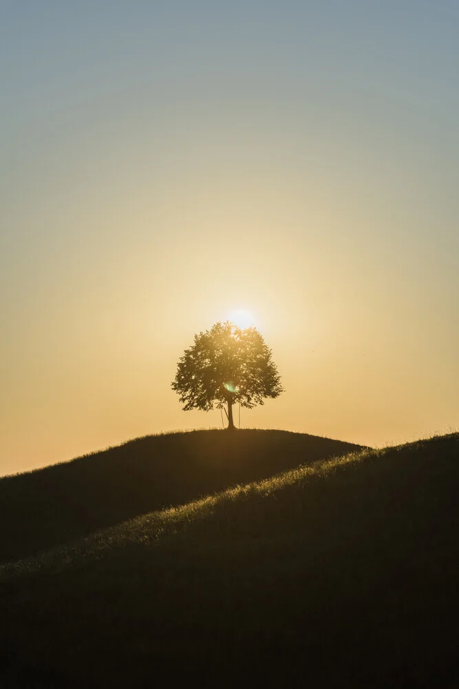 Lindenbaum - fotokunst von Thomas Staubli