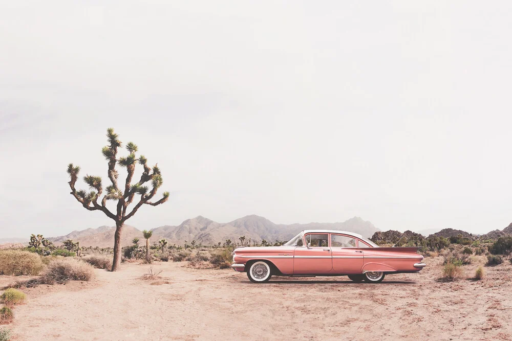 California Living - Fineart photography by Kathrin Pienaar