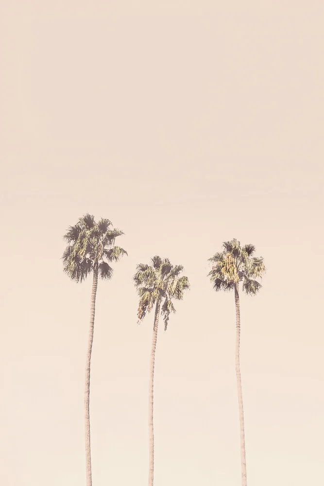 Sunset Palm trees - fotokunst von Kathrin Pienaar