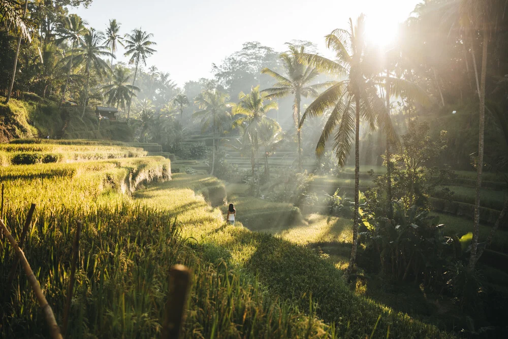 beautiful woman strolling through rice fields at sunrise - fotokunst von Leander Nardin