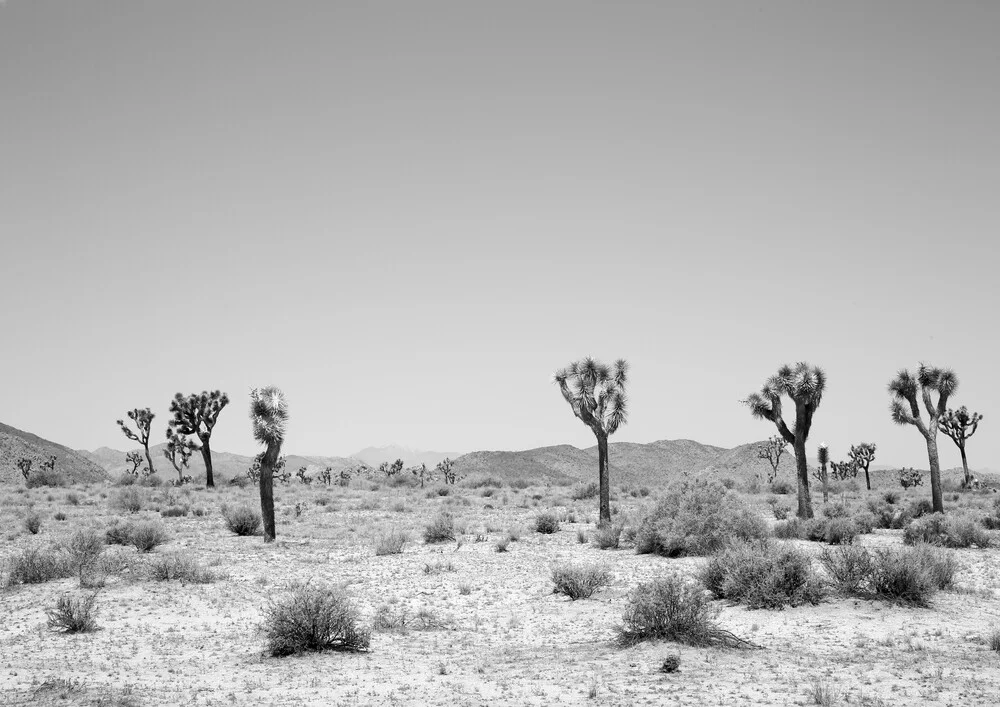 Into the West - Fineart photography by Shot By Clint