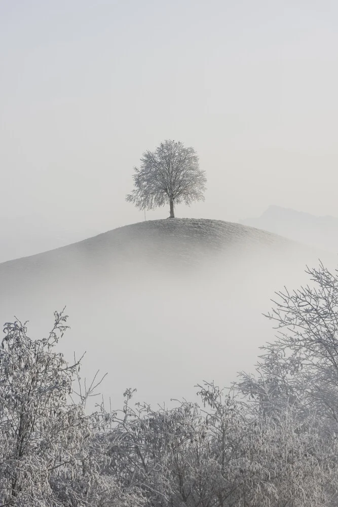 Einsam - fotokunst von Thomas Staubli