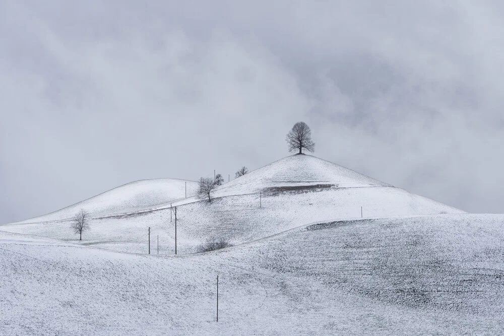 Märchenlandschaft - fotokunst von Thomas Staubli