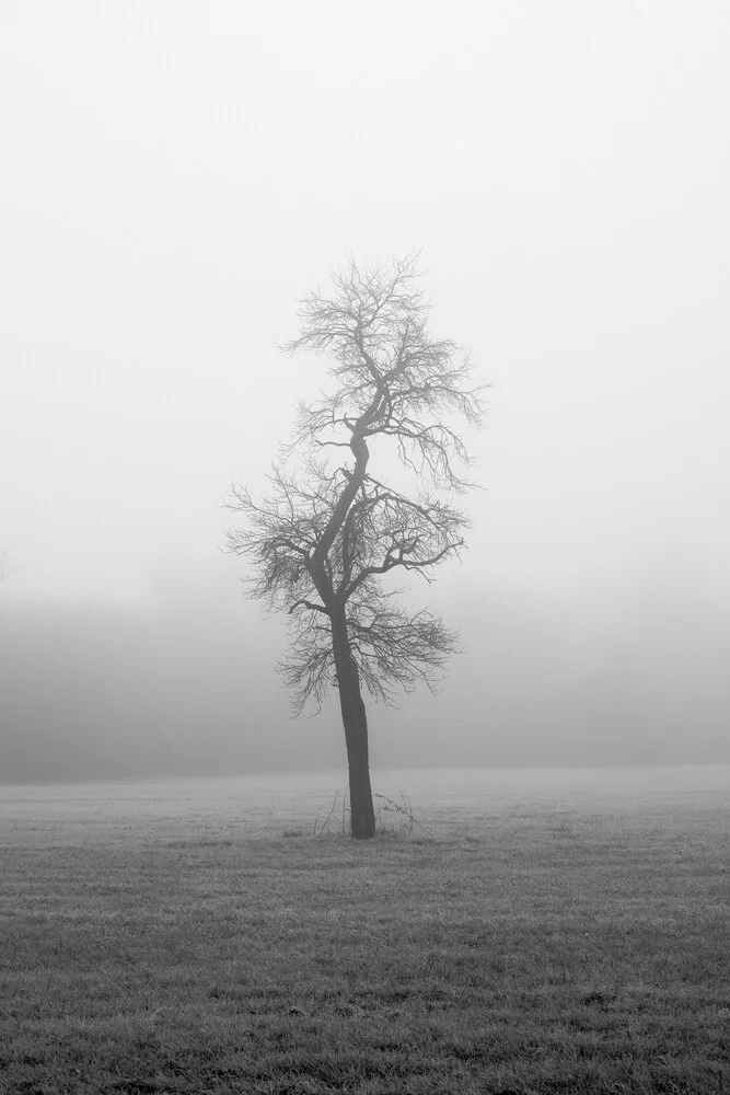 Lonely - Fineart photography by Darius Ortmann
