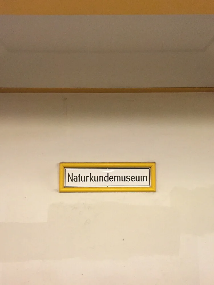 U-Bahnhof Naturkundemuseum - fotokunst von Claudio Galamini