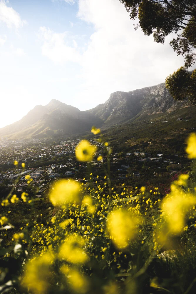 South African majesty - fotokunst von Kristof Göttling