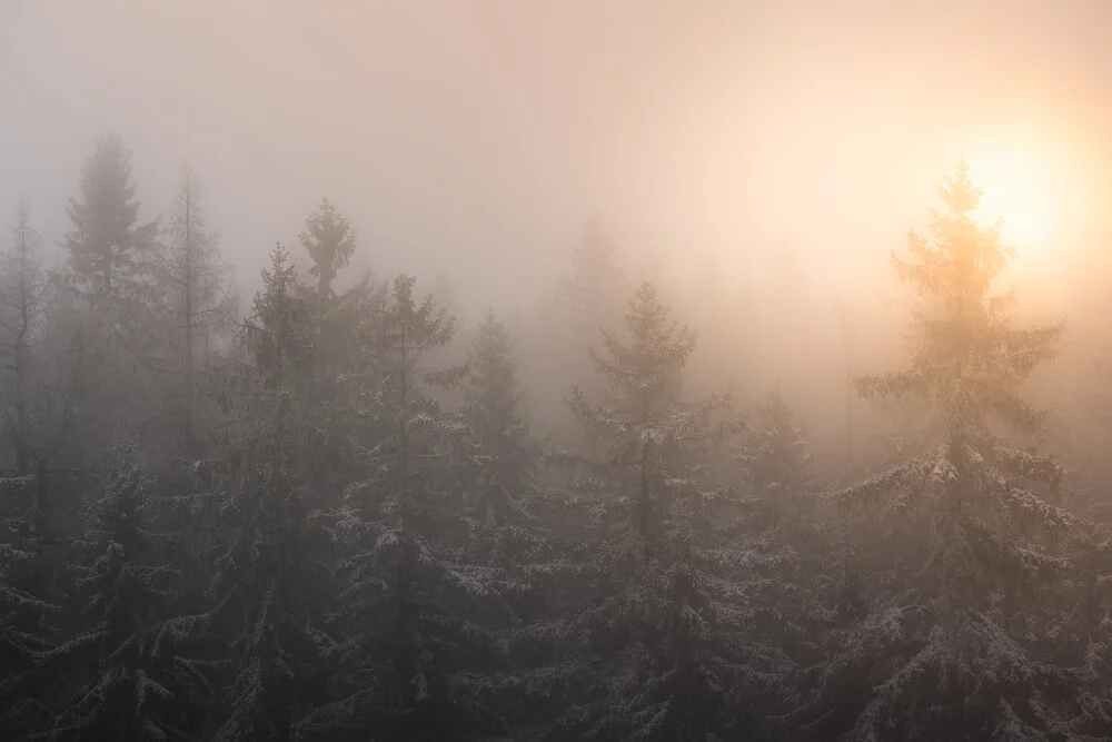 A foggy morning - Fineart photography by Kristof Göttling