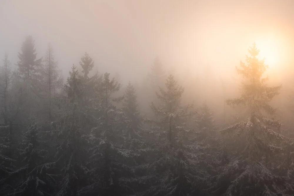 Ein nebliger Morgen - fotokunst von Kristof Göttling